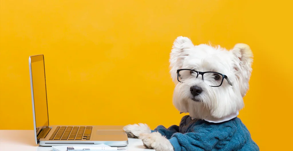 Навіщо CRM для бізнесу: що спонукає підприємців користуватися CRM-системами