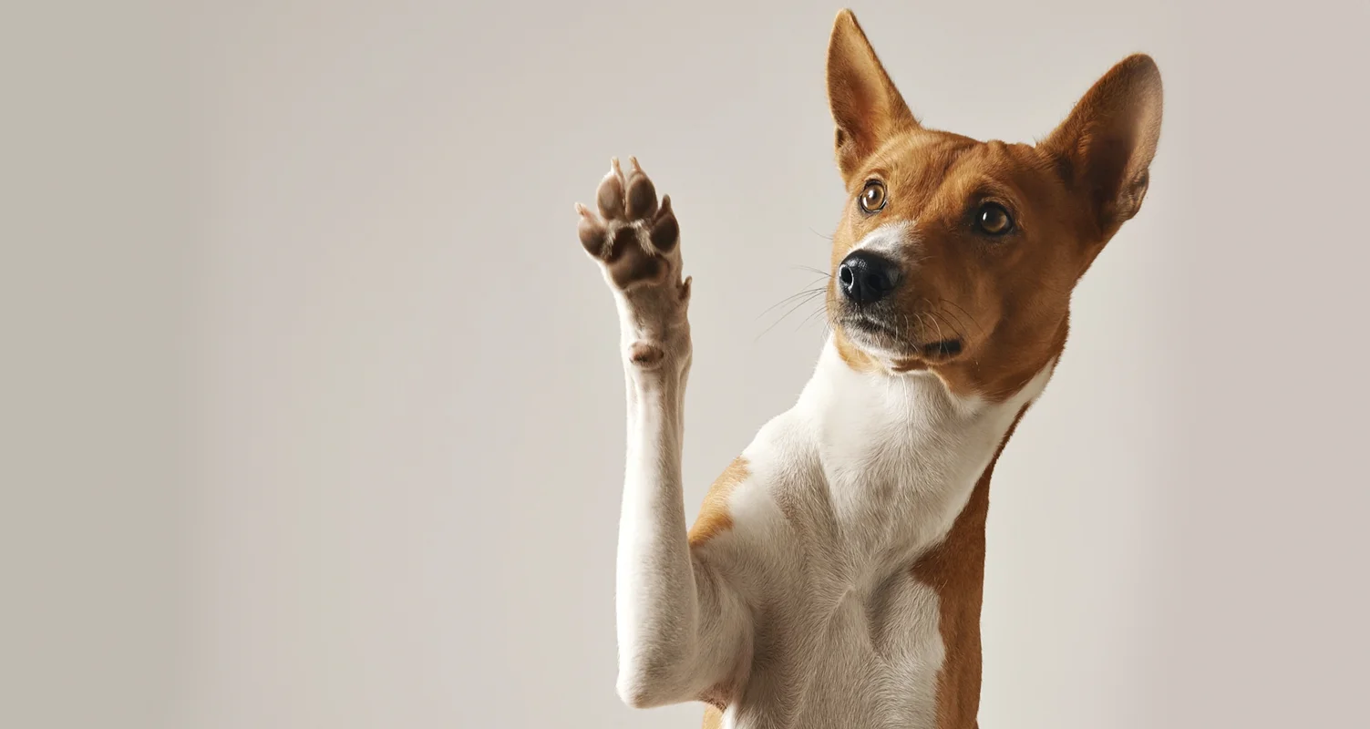 Коли найкраще впроваджувати CRM або чи потрібна CRM підприємцю-початківцю