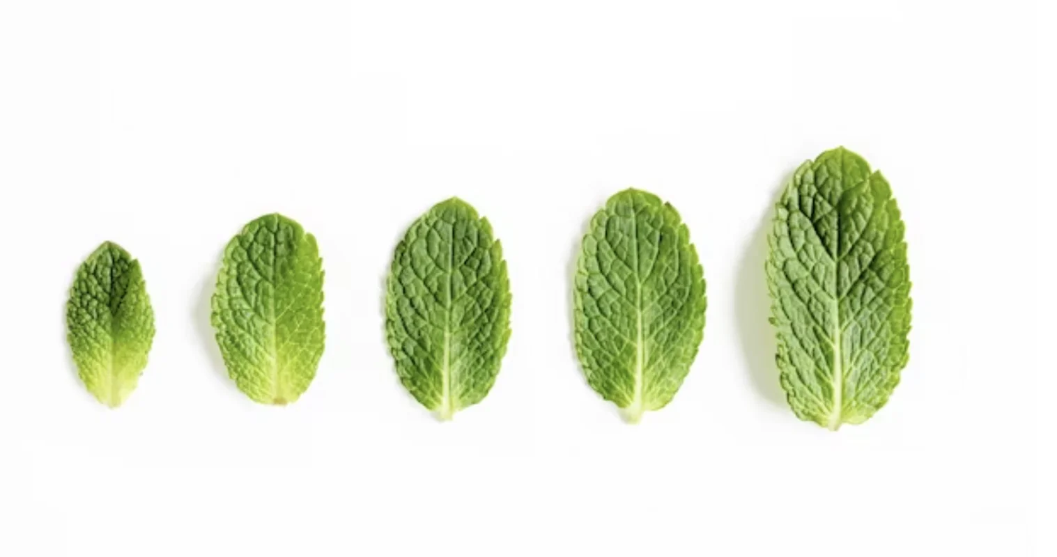 Продаж як процес розвитку і адаптації під клієнта.